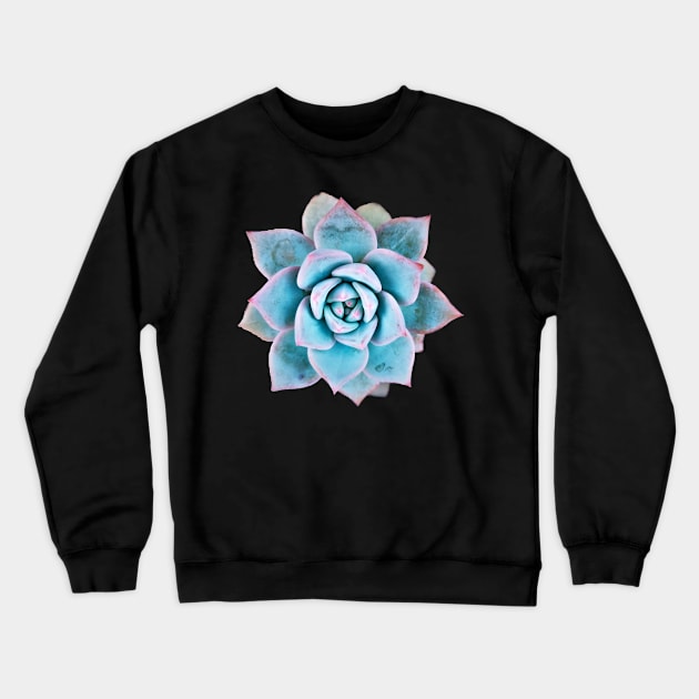 Echeveria blue bird Crewneck Sweatshirt by NerdsbyLeo